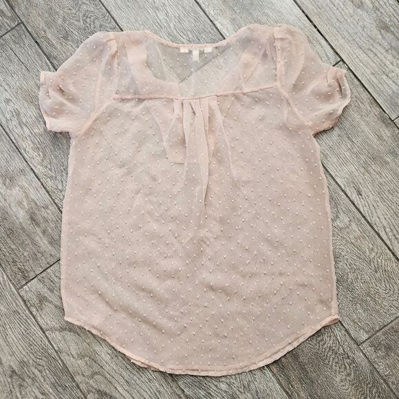 Daniel Rainn Light Pink Sheer Clip Dot Short Sleeve Blouse Size S - Picture 6 of 7